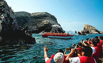Paseo en lancha a Islas Ballestas, Paracas: avistamiento de fauna marina en Peru